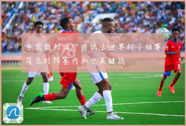 中国裁判马宁将执法世界杯小组赛荷兰对阵塞内加尔关键战