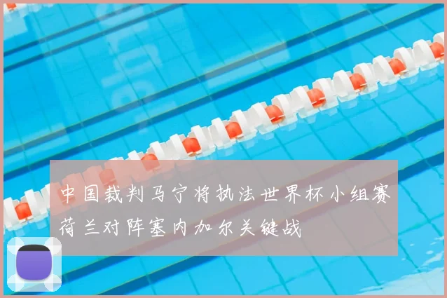 中国裁判马宁将执法世界杯小组赛荷兰对阵塞内加尔关键战