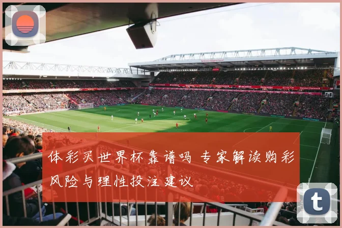 体彩买世界杯靠谱吗 专家解读购彩风险与理性投注建议