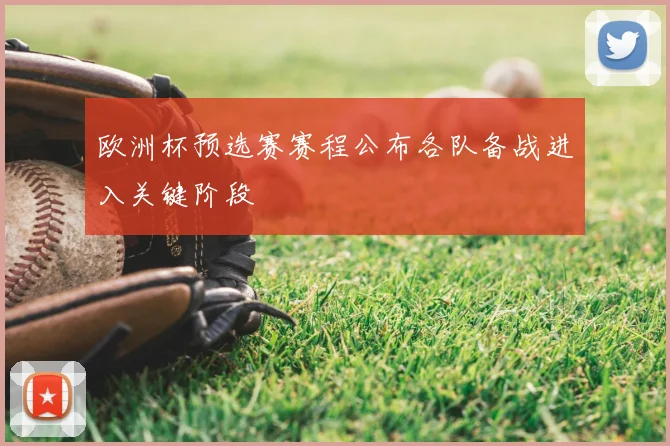 欧洲杯预选赛赛程公布各队备战进入关键阶段